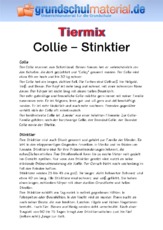 Collie - Stinktier.pdf